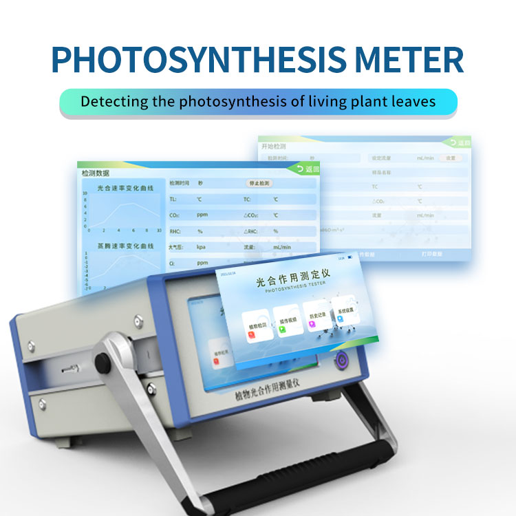 Photosynthesis measuring instrument