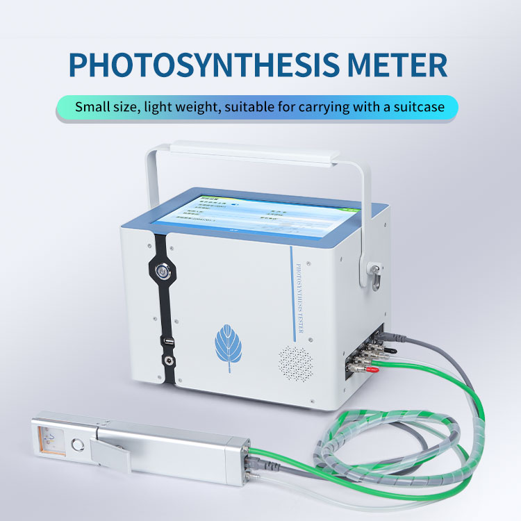 Portable Photosynthesis System