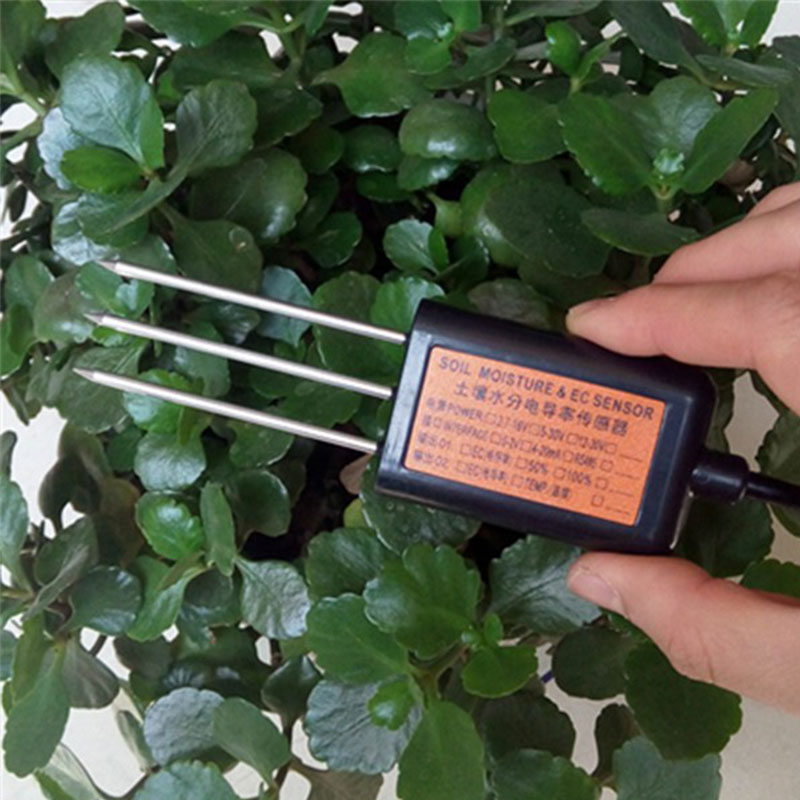 Soil Temperature Moisture Salt Sensor