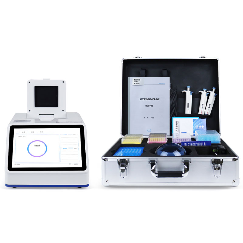 African swine fever virus detection